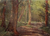 Forest Road 1892