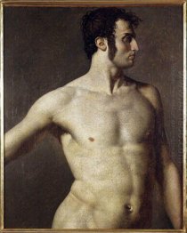 Torso masculino 1