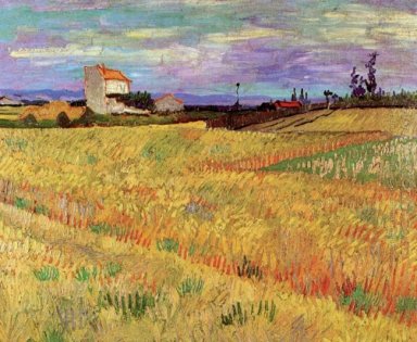Campo de trigo de 1888 1