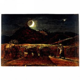 Um Campo de milho pelo luar com o Estrela da Noite