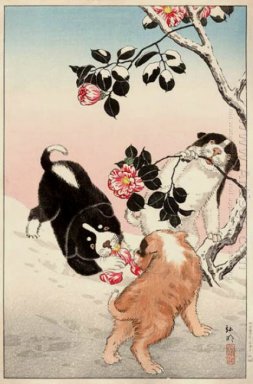 Camellia and Puppies in Snow