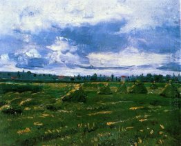 Vetefält med högar 1888