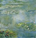 Water Lilies 21