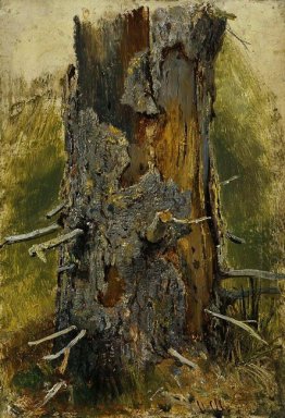 The Bark On The Dry Trunk 1890