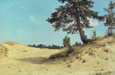 Pin sur le sable 1884