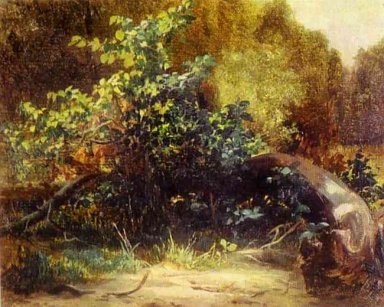 В Forrest края