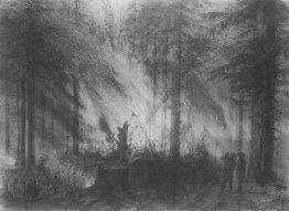 Fire In Dry Cobra 1870