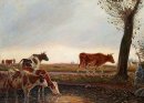 Vaches à la maison dans la soirée