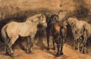 Drei Pferde im Stall