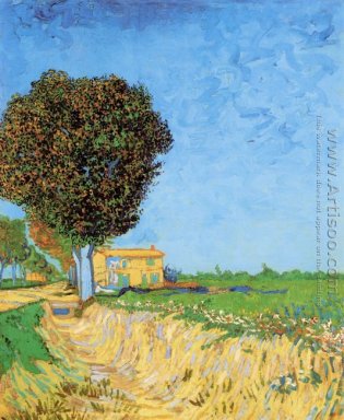 Lane in der Nähe von Arles A