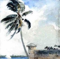 A Tropical Breeze, Nassau