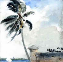  A Tropical Breeze, Nassau