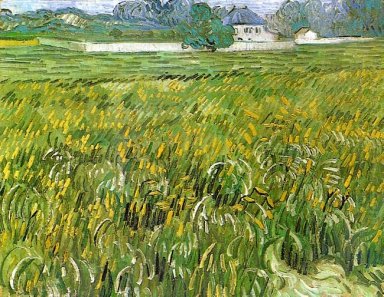 Wheat Field At Auvers With White House 1890