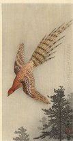 Quail sur la forêt
