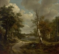 Drinkstone Parque Cornard Woodland