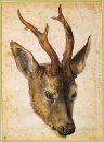 head of a stag
