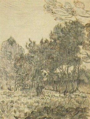 Pijnbomen Vlakbij de Muur van Het Gesticht 1889 2