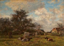 Pada Sussex Pertanian