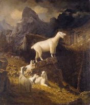 Rocky Mountains goats 1885