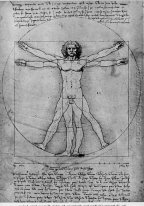  Vitruvian man, Studie av proportioner, från Vitruvius s De arch