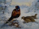 Cock and Hen Pheasant in Winter