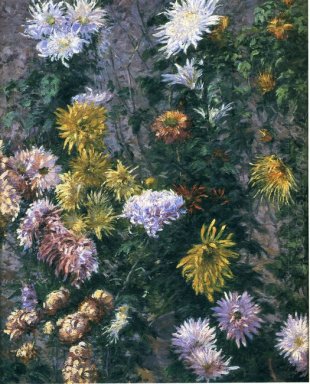 White And Yellow Chrysanthemums 1893