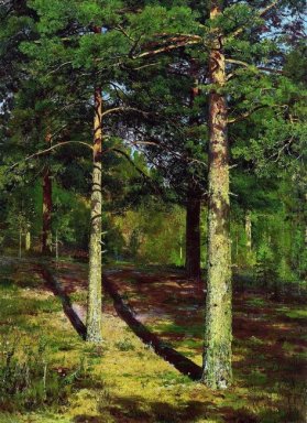 Solen Lit Pines 1886