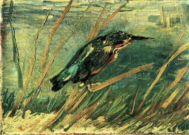The Kingfisher 1886