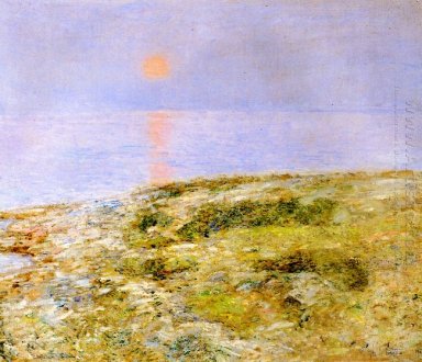 Sunset Eiland van visscholen
