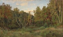 Des paysages forestiers 1