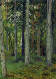 Hutan 1897