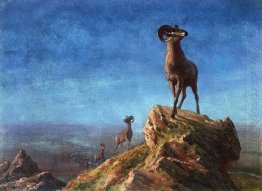 stenig bergs stora horn