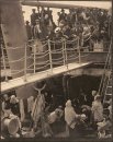 The Steerage