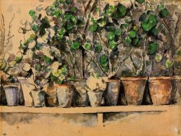 Vasos de flores