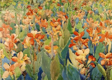 Bed van Bloemen Ook bekend als Cannas of de Tuin