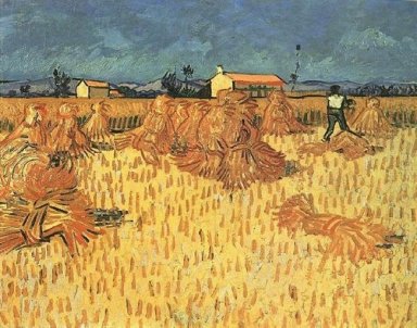 Harvest In Provence 1888