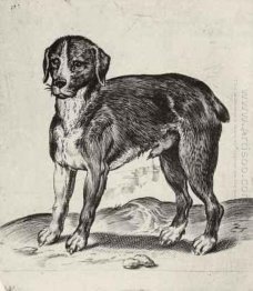 Hund
