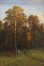 На краю соснового леса 1882