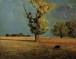 Peyrelebade Landscape