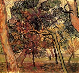 Studi Pine Trees 1889