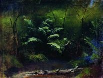 Ormbunkar By The Water 1895