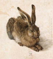 A young hare