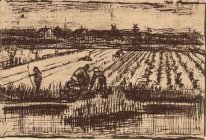 Kentang Lapangan 1882