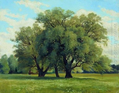 Huile Oaks