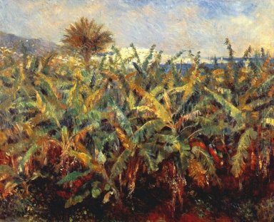 Campo de árboles de plátano 1881