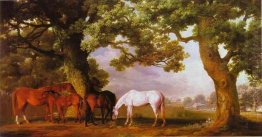 Mares och föl i en trädbevuxen landskap 1762