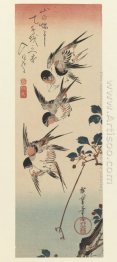 Quatro Swallows