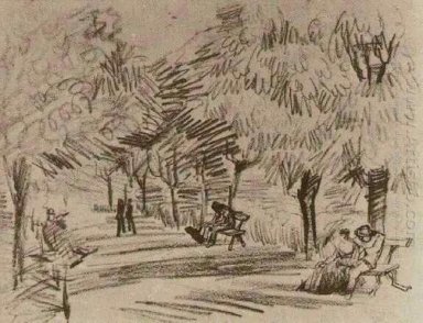 A Lane In The Public Garden With Benches 1888