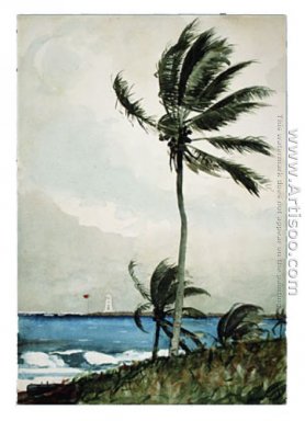 Palm Tree, Нассау