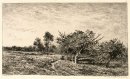 Apple Trees At Auvers 1877